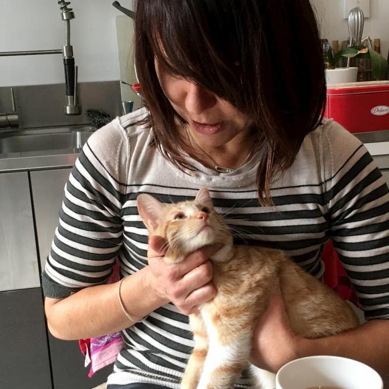 Docteur vétérinaire Lamure-Sauvaire examine un chat roux tigré